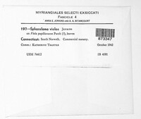 Image Associated With the Occurence